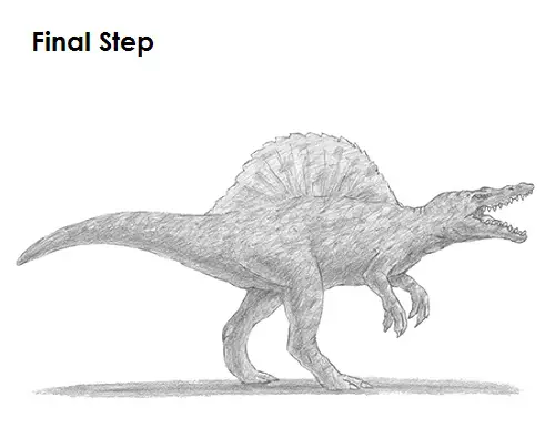 Spinosaurus Dinosaur Drawing Draw Spinosaurus Dinosaur