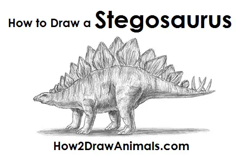 How to Draw a Stegosaurus