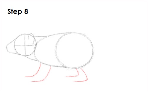 Tasmanian Devil Drawing 8 Draw Tasmanian Devil 8