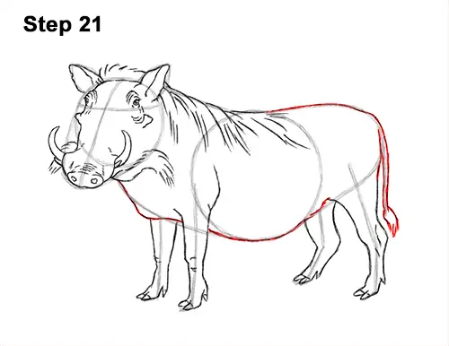 Best How To Draw A Warthog in the year 2023 The ultimate guide 