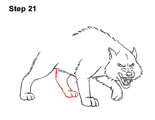 How to Draw a Wolf Growling (Cartoon)