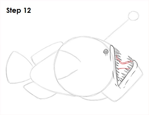 Draw Anglerfish 12