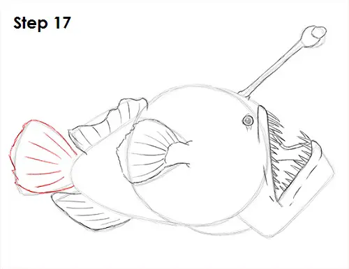 Draw Anglerfish 17