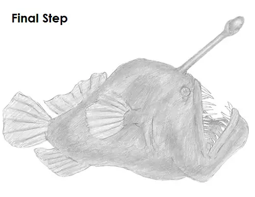 Draw Anglerfish
