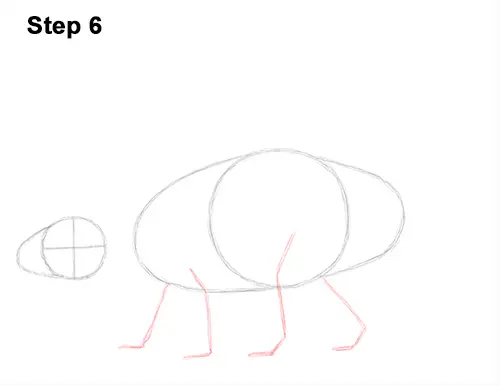 Draw Ankylosaurus Dinosaur 6