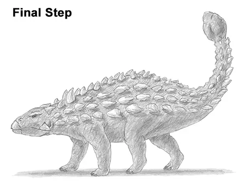 Draw Ankylosaurus Dinosaur Last