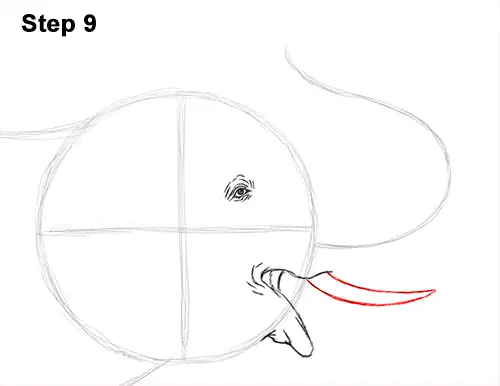 Draw Asian Elephant 9