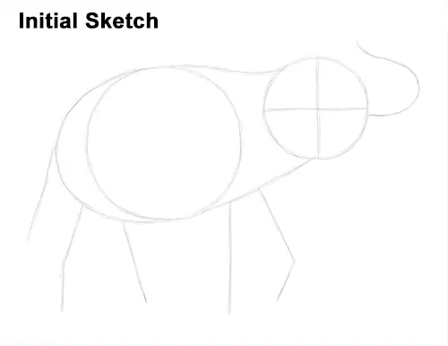 Draw Asian Elephant Initial Sketch
