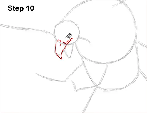 How to Draw Bald Eagle Hunting Swooping Wings 10