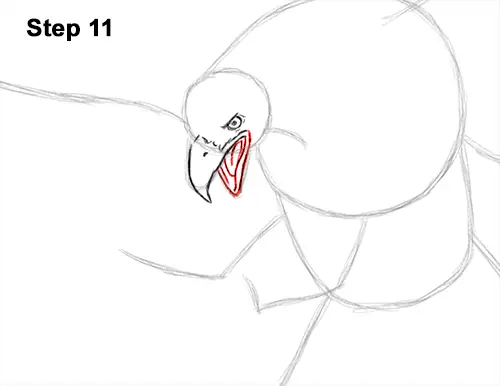 How to Draw Bald Eagle Hunting Swooping Wings 11