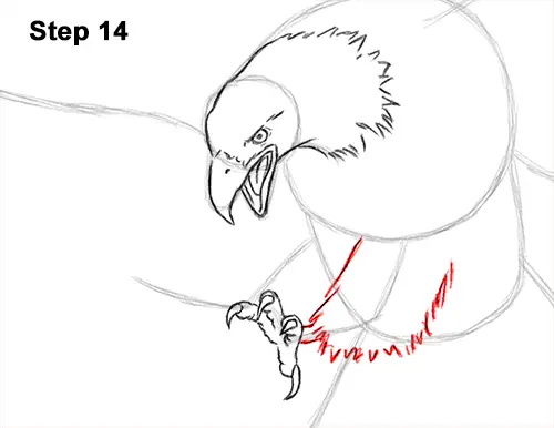 How to Draw Bald Eagle Hunting Swooping Wings 14