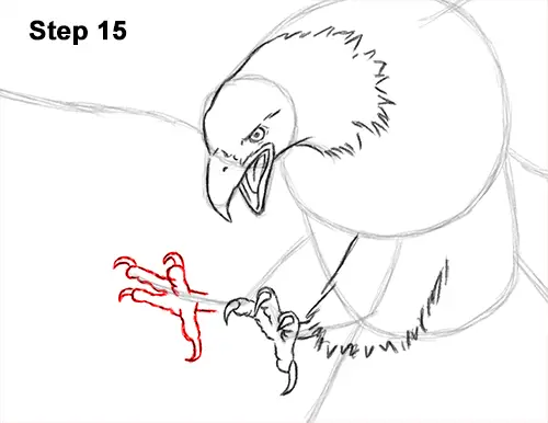 How to Draw Bald Eagle Hunting Swooping Wings 15