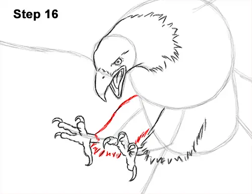 How to Draw Bald Eagle Hunting Swooping Wings 16