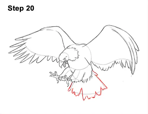 How to Draw Bald Eagle Hunting Swooping Wings 20