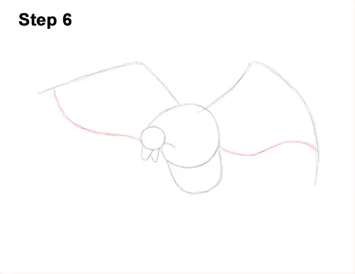How to Draw Bald Eagle Hunting Swooping Wings 6