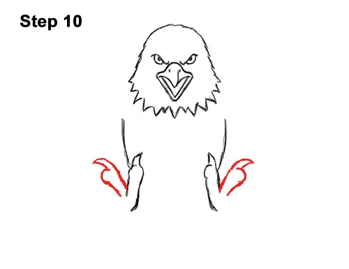 How to Draw Angry Cartoon Bald Eagle Flying Wings Talons 10