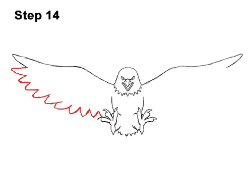 How to Draw Angry Cartoon Bald Eagle Flying Wings Talons 14