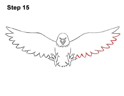 How to Draw Angry Cartoon Bald Eagle Flying Wings Talons 15
