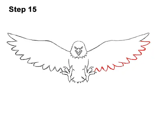 Bald Eagle Drawing Easy Step By Step