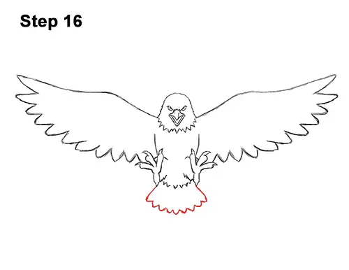 How to Draw Angry Cartoon Bald Eagle Flying Wings Talons 16