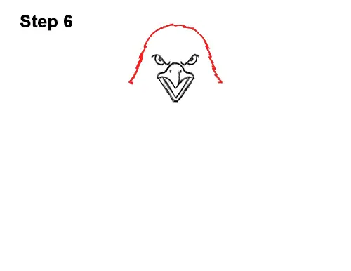 How to Draw Angry Cartoon Bald Eagle Flying Wings Talons 6