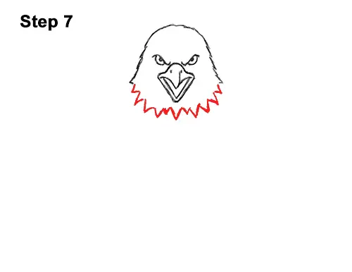 How to Draw Angry Cartoon Bald Eagle Flying Wings Talons 7