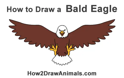 How to Draw Angry Cartoon Bald Eagle Flying Wings Talons