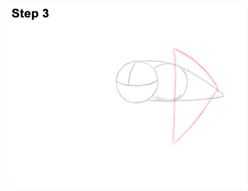 How to Draw a Barn Owl 3