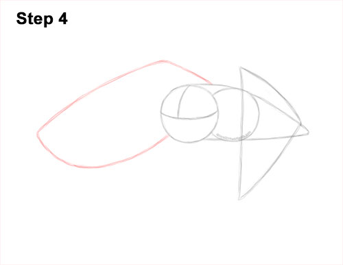 How to Draw a Barn Owl 4