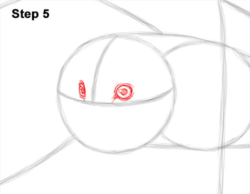 How to Draw a Barn Owl 5