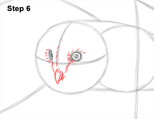 How to Draw a Barn Owl 6