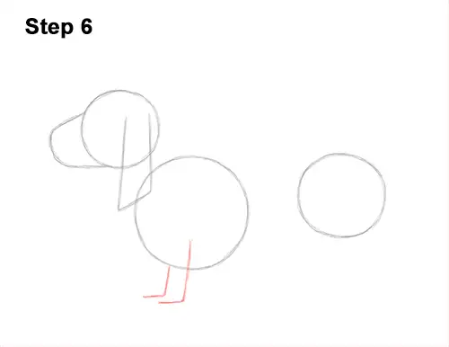 How to Draw a Basset Hound Puppy Dog Side View 6