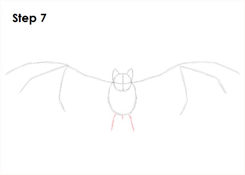Draw Vampire Bat 7