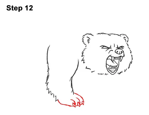 How to Draw a Bear Roaring (Cartoon) How to Draw a Bear Roaring (Cartoon)