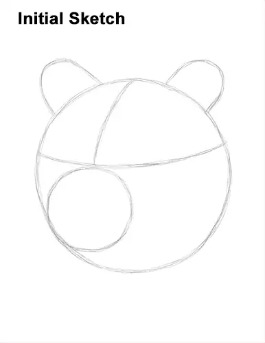 How to Draw a Grizzly Brown Bear Head Portrait Guide Lines