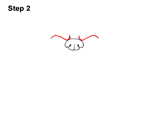 How to Draw a Cartoon Grizzly Bear Head Roaring 2