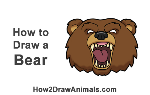 How to Draw a Cartoon Grizzly Bear Head Roaring