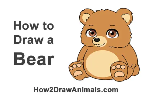 How To Draw A Bear Cartoon Video Step By Step Pictures