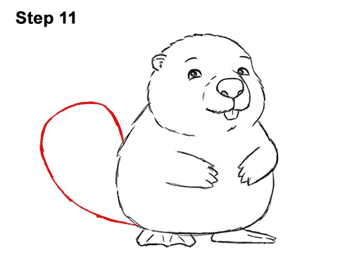 How to Draw Cute Cartoon Beaver 11