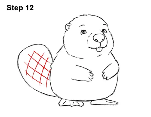 How to Draw Cute Cartoon Beaver 12