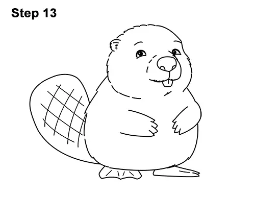 How to Draw Cute Cartoon Beaver 13