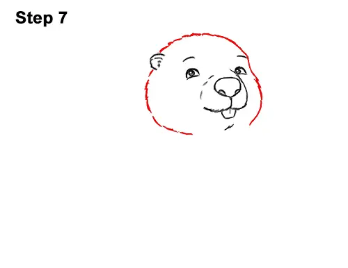 How to Draw Cute Cartoon Beaver 7