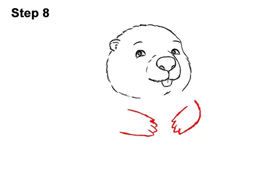 How to Draw Cute Cartoon Beaver 8