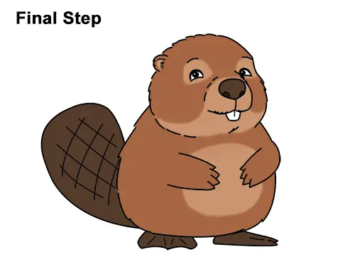 How to Draw Cute Cartoon Beaver