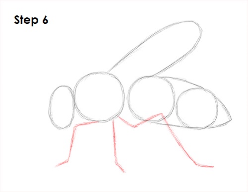 Draw Bee 6