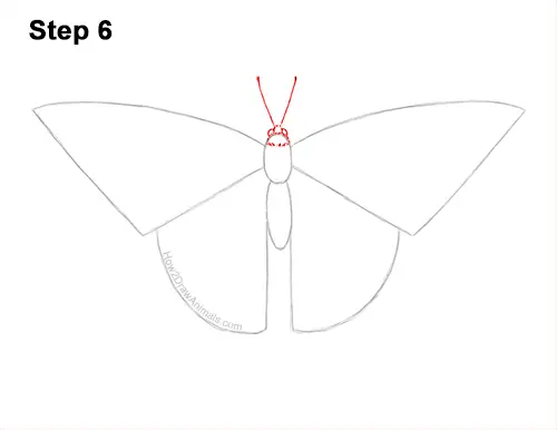 How to Draw a Yellow Eastern Tiger Swallowtail Butterfly 6