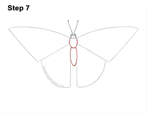How to Draw a Yellow Eastern Tiger Swallowtail Butterfly 7