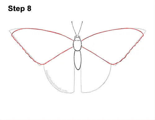 How to Draw a Yellow Eastern Tiger Swallowtail Butterfly 8
