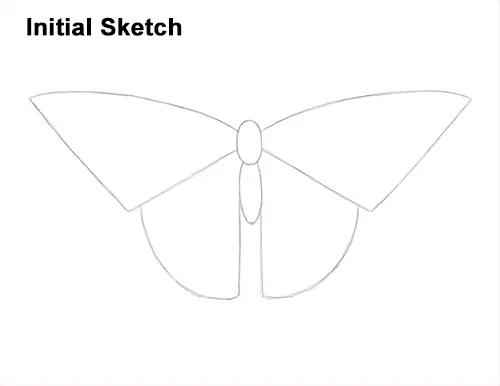 How to Draw a Yellow Eastern Tiger Swallowtail Butterfly Guides Lines