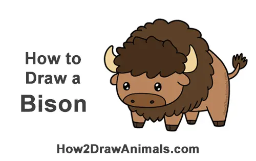 How to Draw Cute Cartoon Bison Buffalo